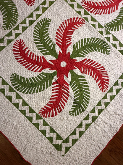 Outstanding Princess Feather Quilt With Border
