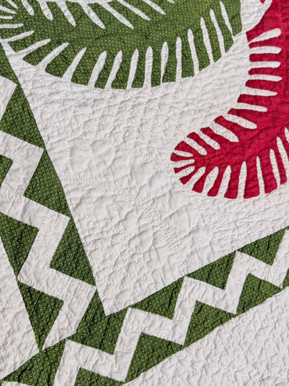Outstanding Princess Feather Quilt With Border