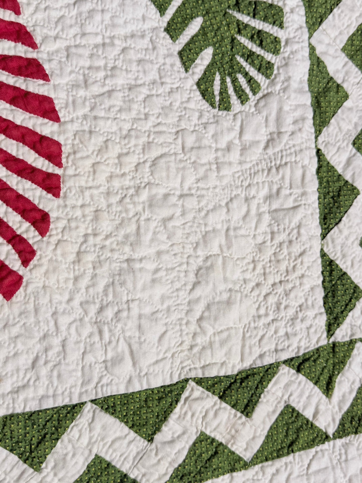 Outstanding Princess Feather Quilt With Border