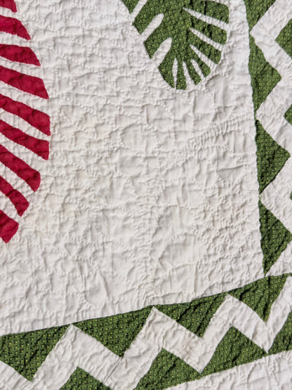 Outstanding Princess Feather Quilt With Border
