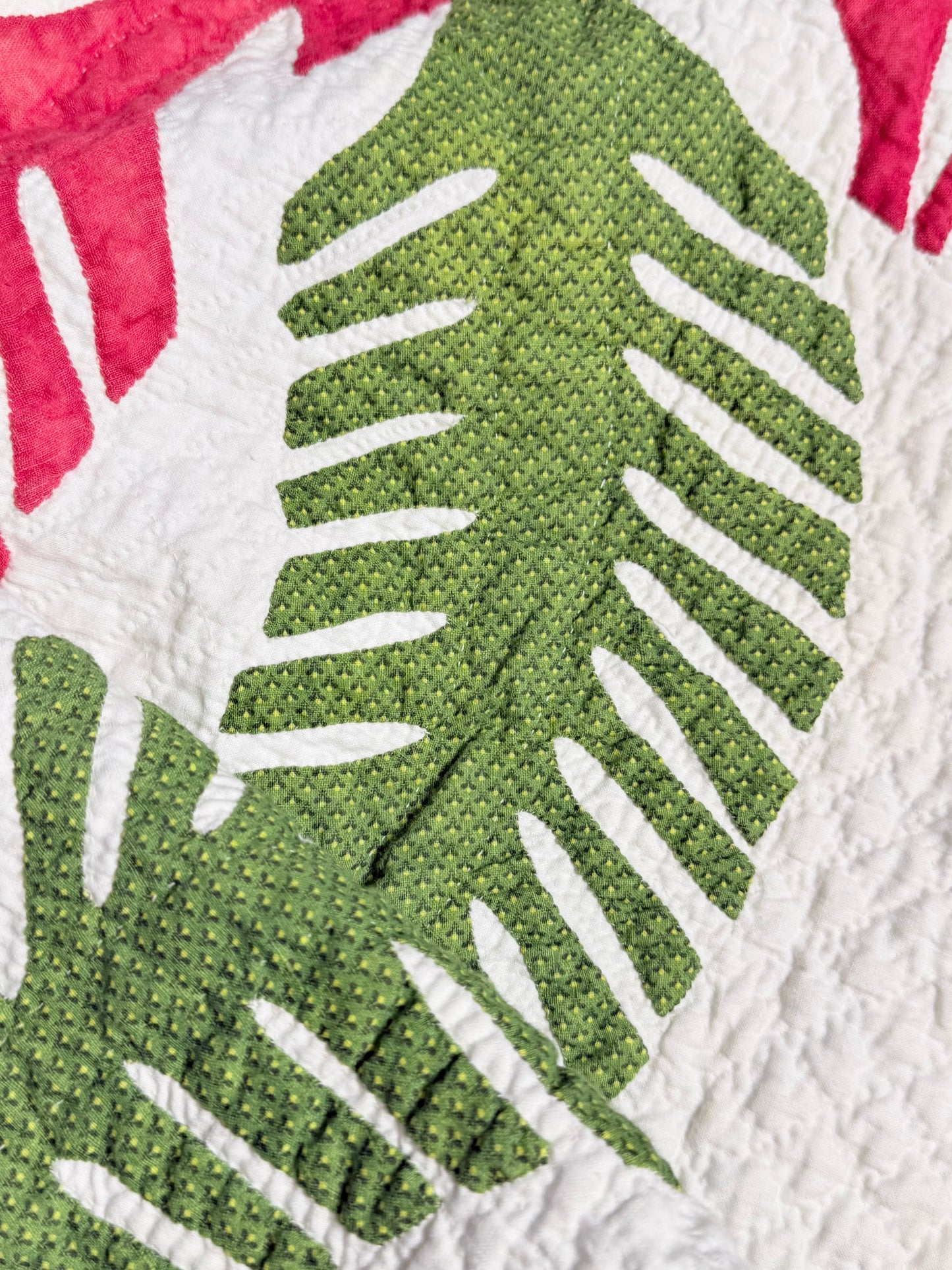 Outstanding Princess Feather Quilt With Border
