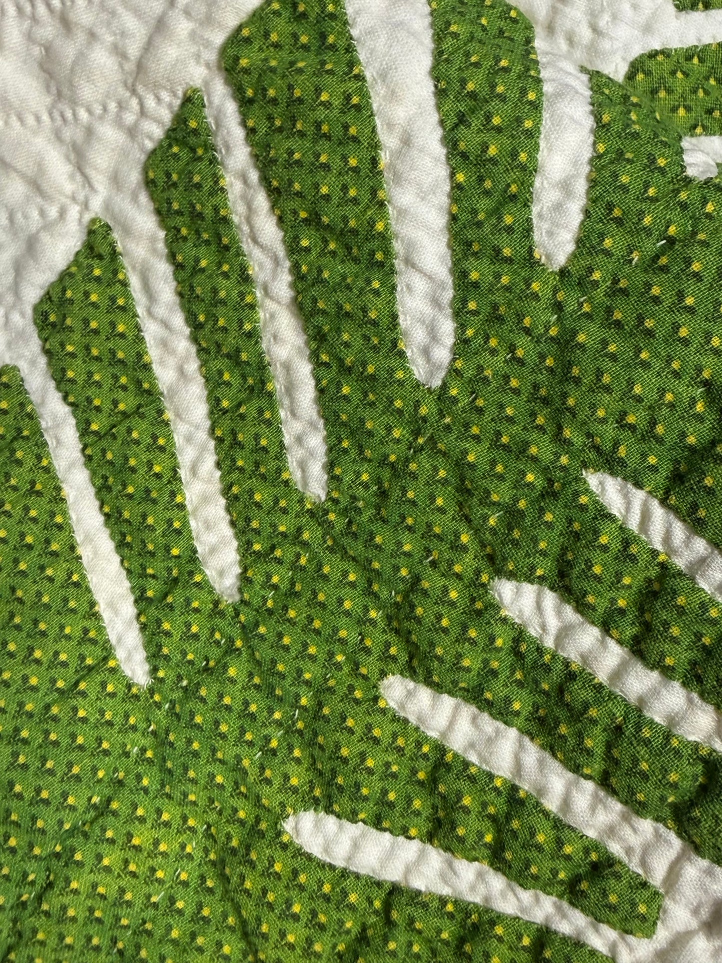 Outstanding Princess Feather Quilt With Border