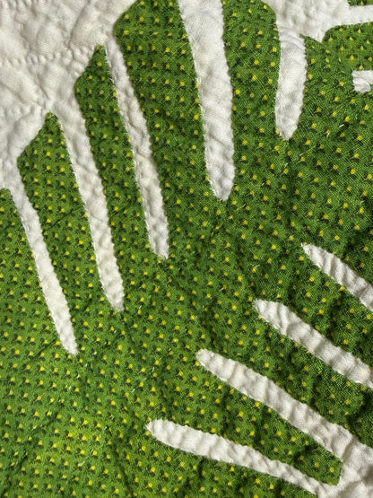 Outstanding Princess Feather Quilt With Border