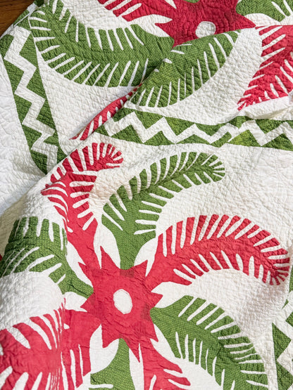 Outstanding Princess Feather Quilt With Border