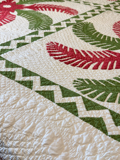 Outstanding Princess Feather Quilt With Border
