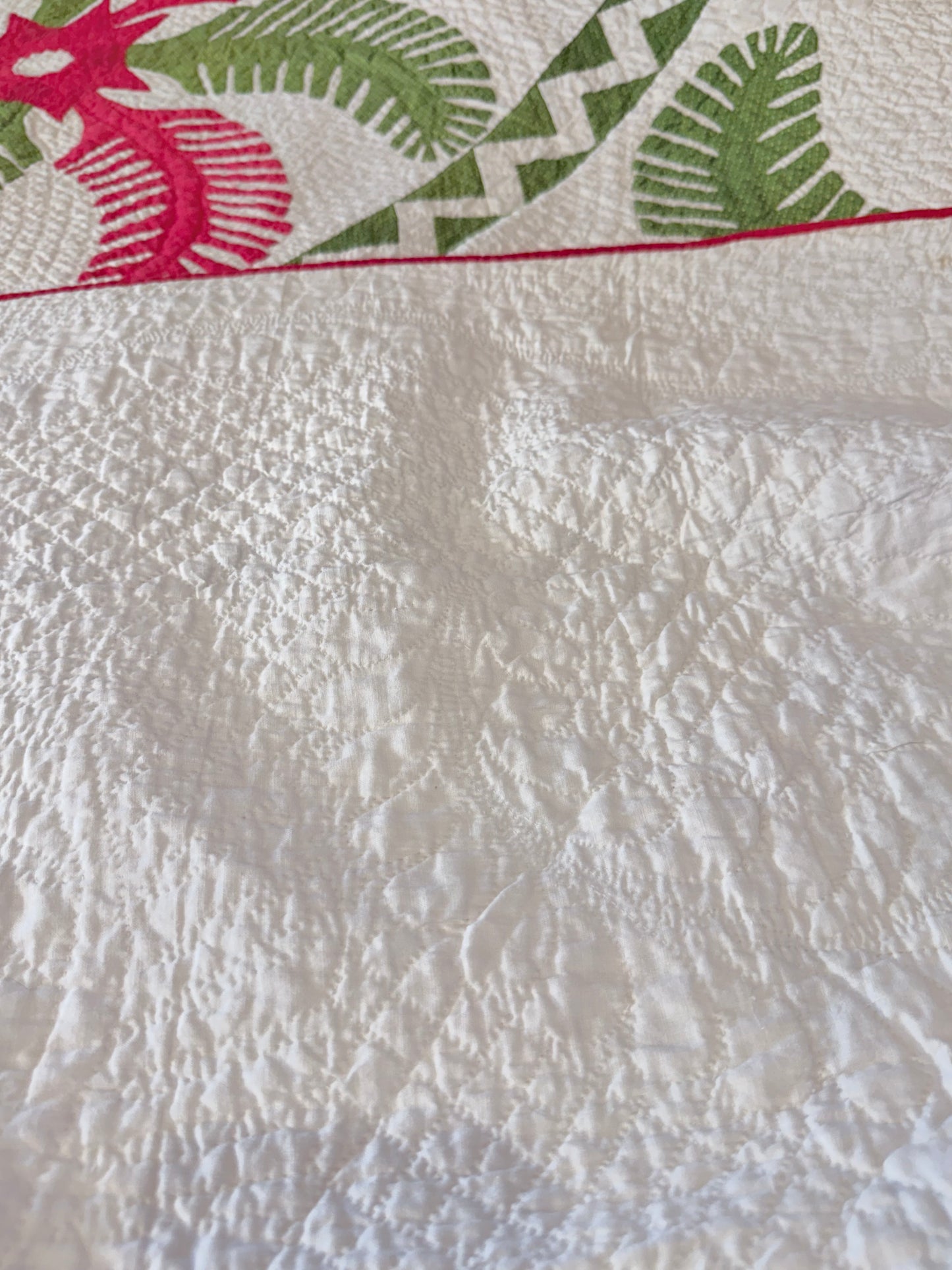 Outstanding Princess Feather Quilt With Border