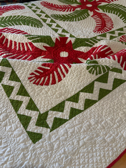 Outstanding Princess Feather Quilt With Border