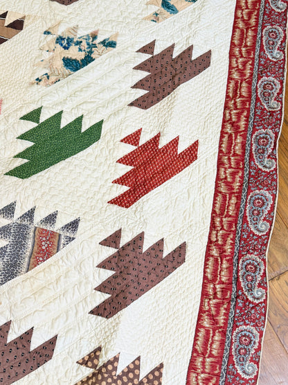 Lost Ships Early Quilt with Stunning Border