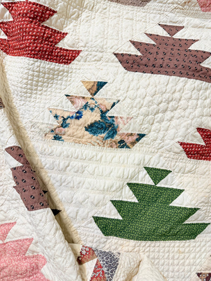 Lost Ships Early Quilt with Stunning Border