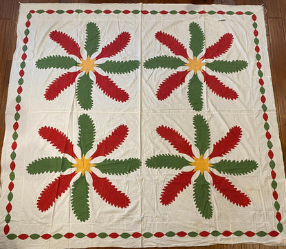 Princess Feather Quilt Top with a Chain Border