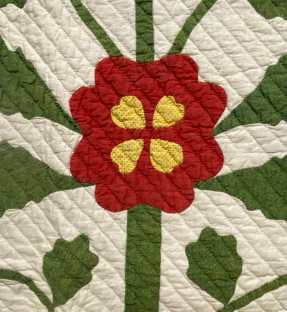 Folk Art 4 Block Appliqué Pot of Flowers Quilt with Border