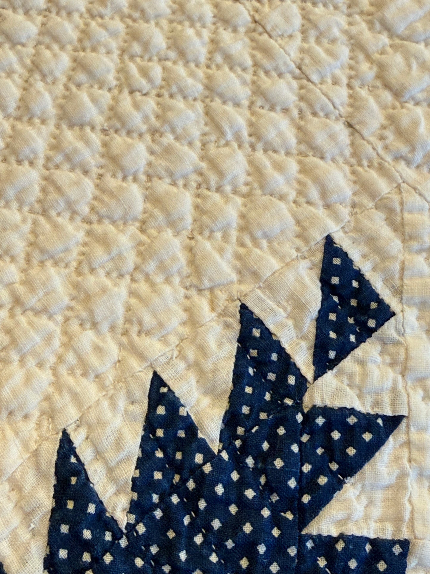 Exquisite Indigo Feathered Stars Quilt