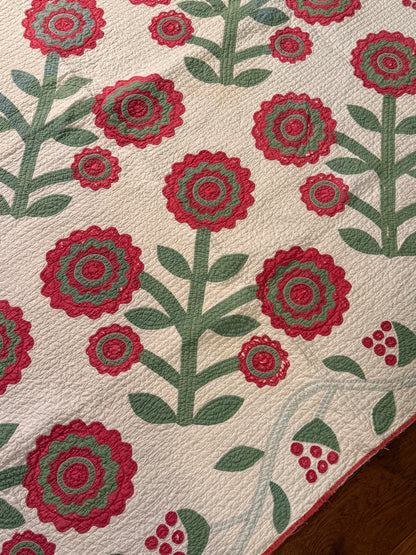 Early Rose of Sharon Quilt