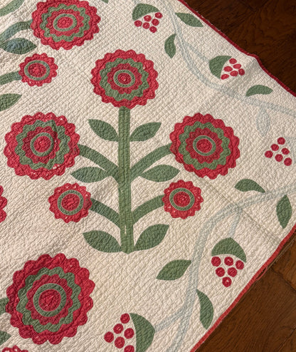 Early Rose of Sharon Quilt