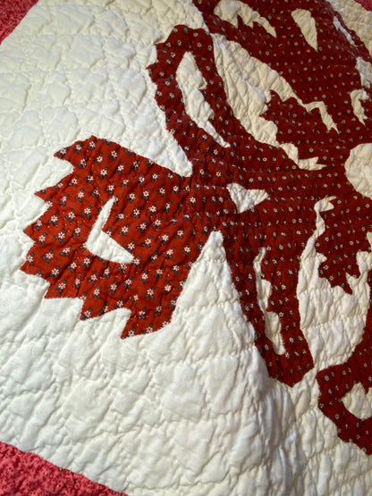 Coxcomb Crib Quilt - Applique