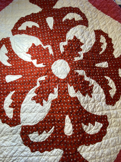 Coxcomb Crib Quilt - Applique