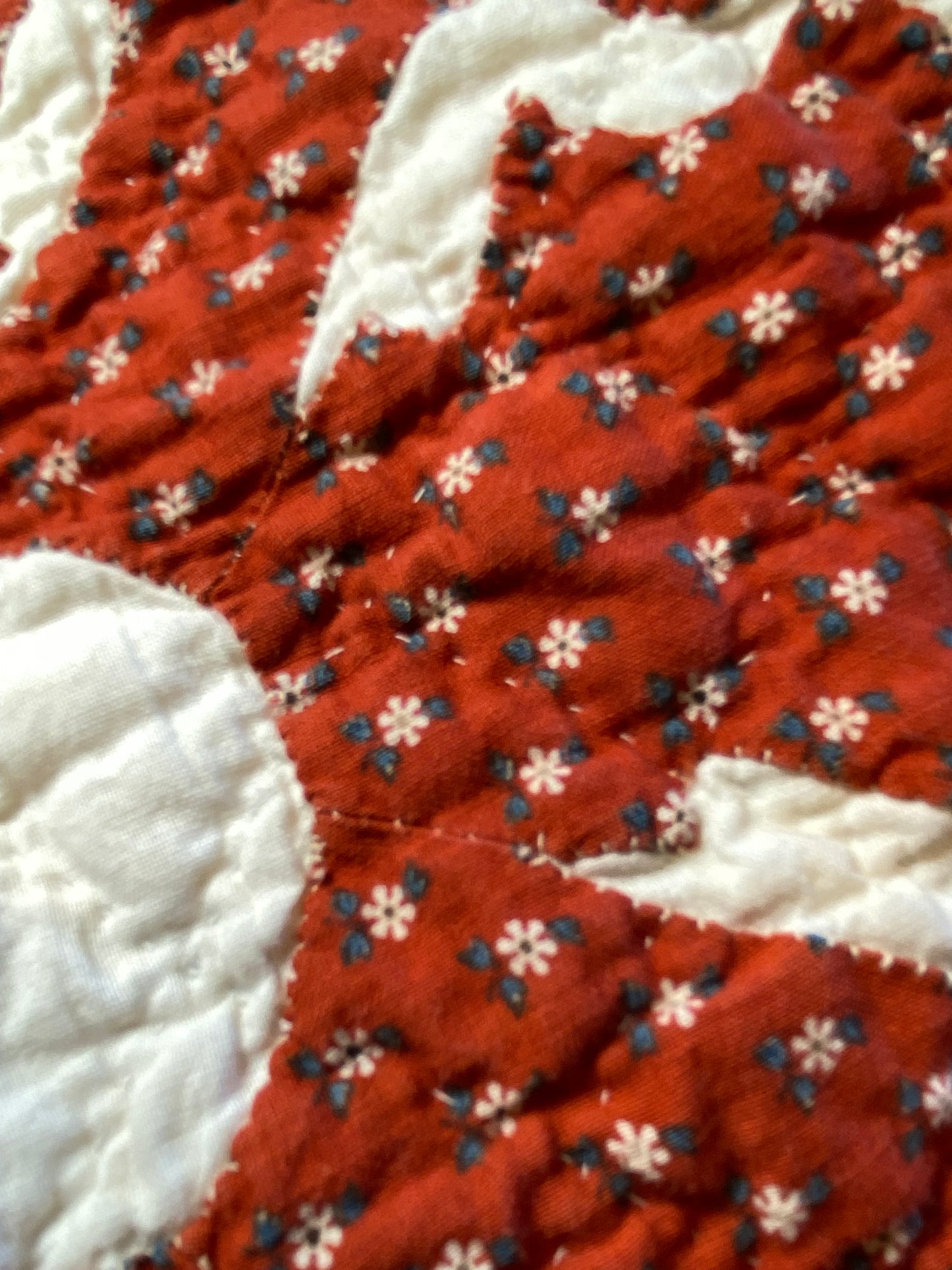 Coxcomb Crib Quilt - Applique