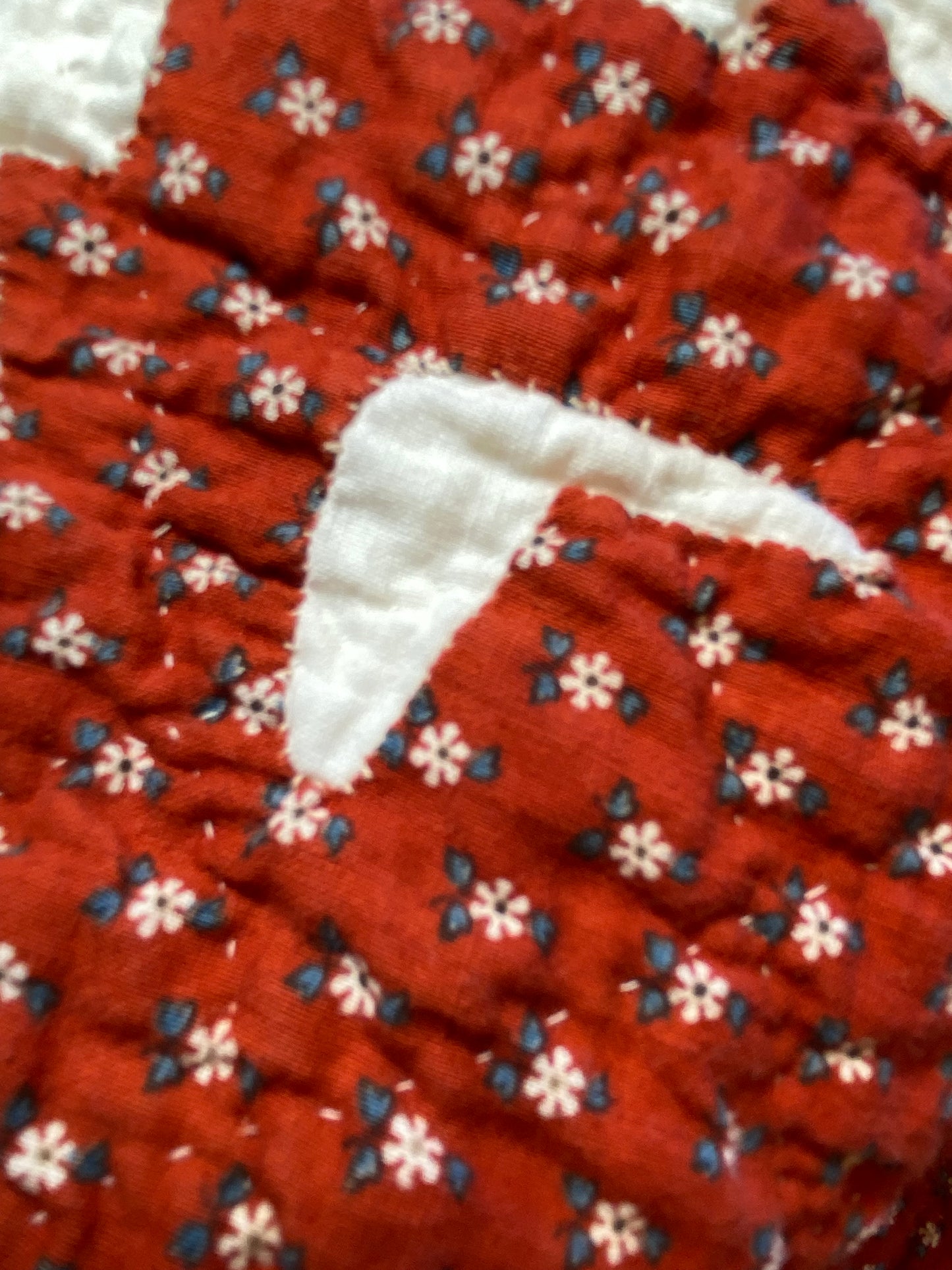 Coxcomb Crib Quilt - Applique