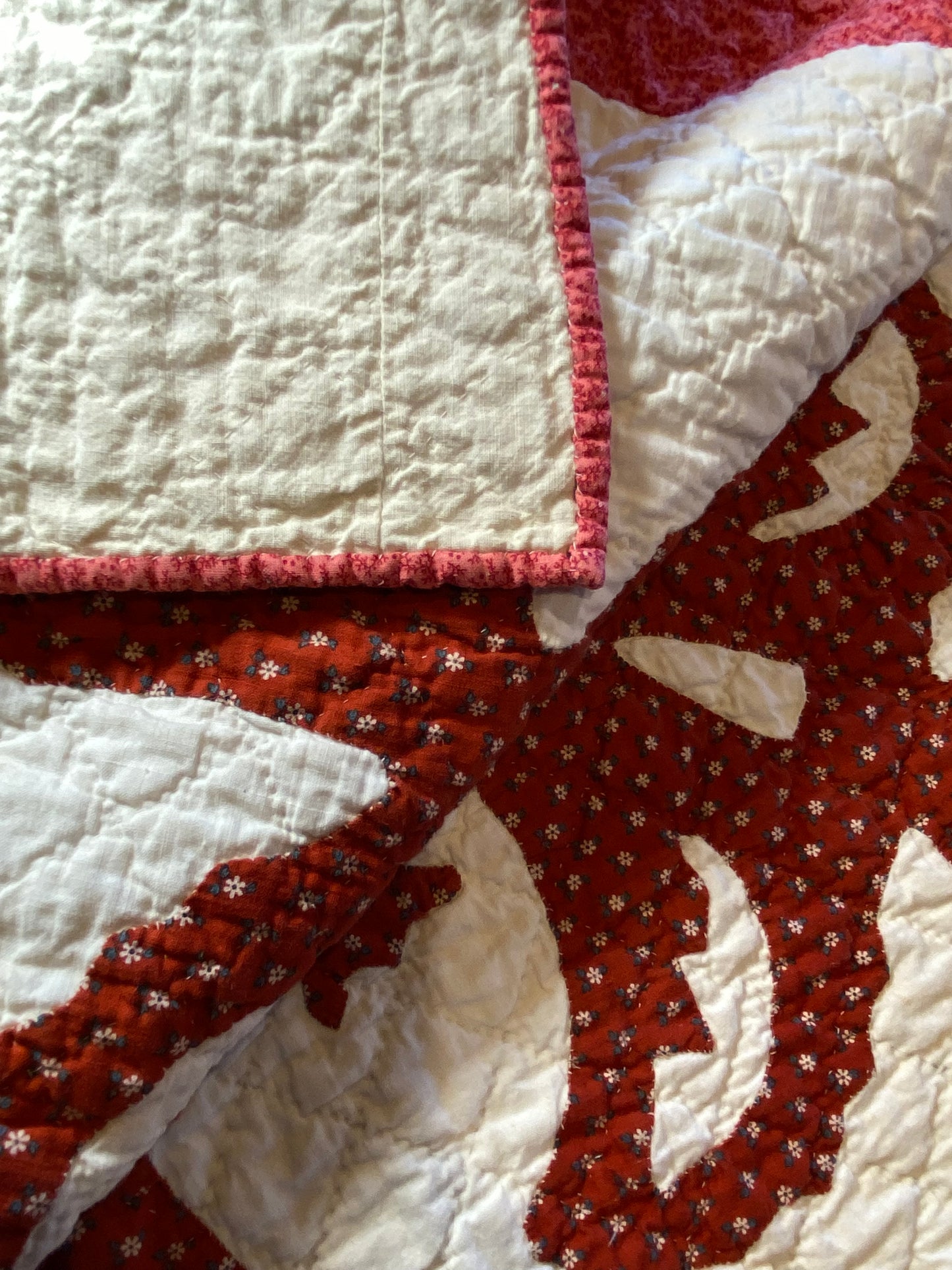 Coxcomb Crib Quilt - Applique