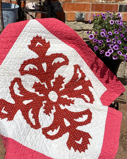 Coxcomb Crib Quilt - Applique