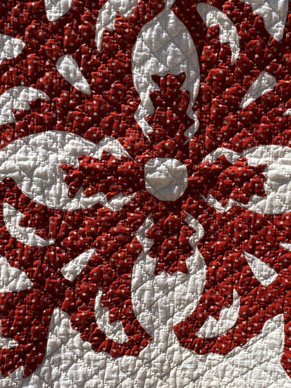 Coxcomb Crib Quilt - Applique