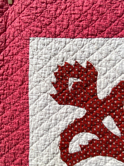 Coxcomb Crib Quilt - Applique