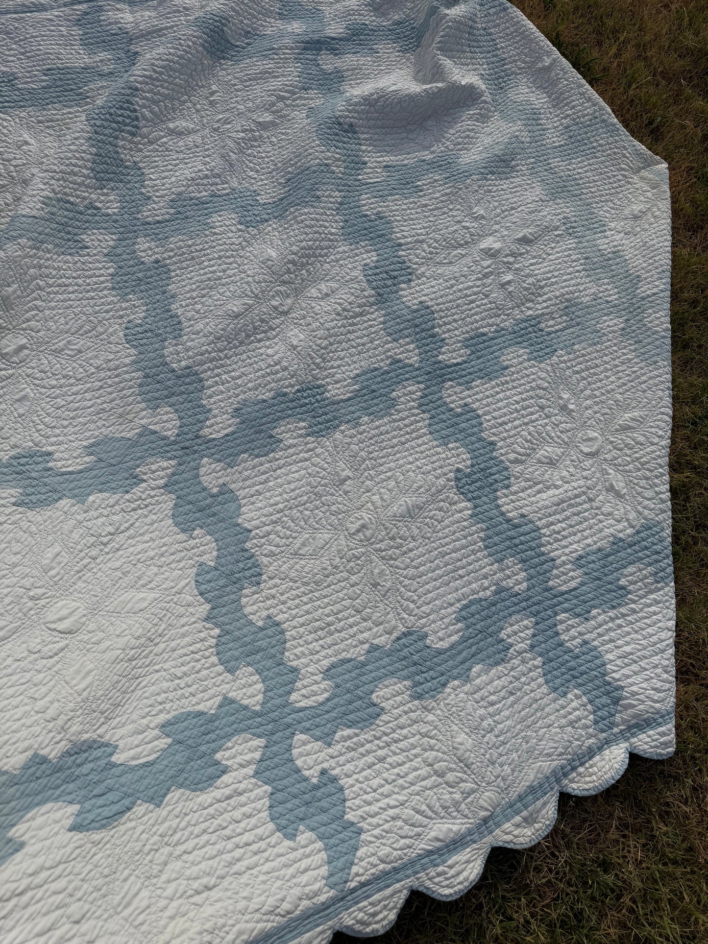 Comfy Drunkards Path Blue White Quilt