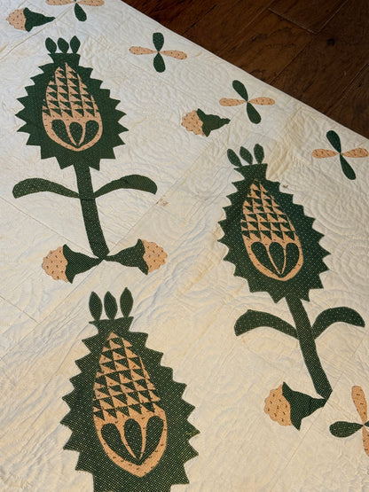 Early Pineapple Appliqué Quilt