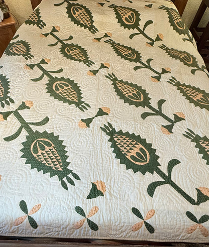 Early Pineapple Appliqué Quilt