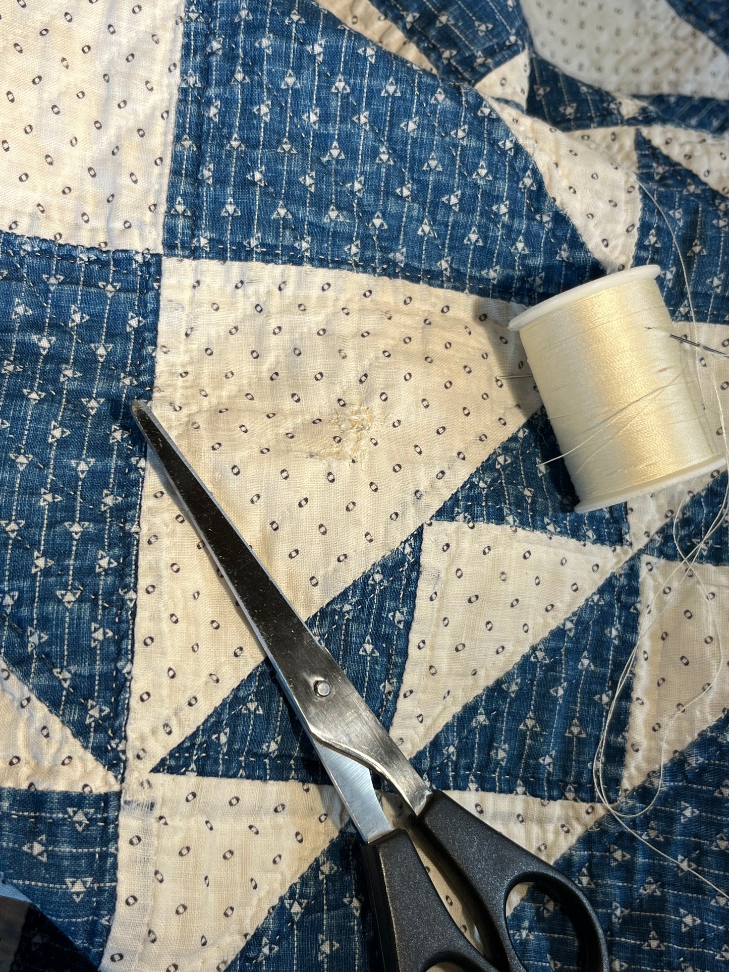 Corn and Beans Quilt in Blues
