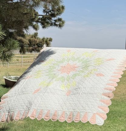 Detailed Lone Star Quilt with Border
