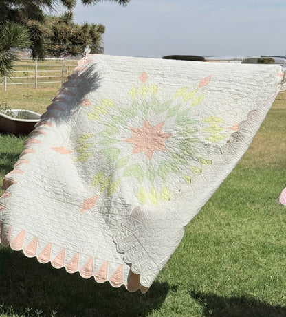 Detailed Lone Star Quilt with Border