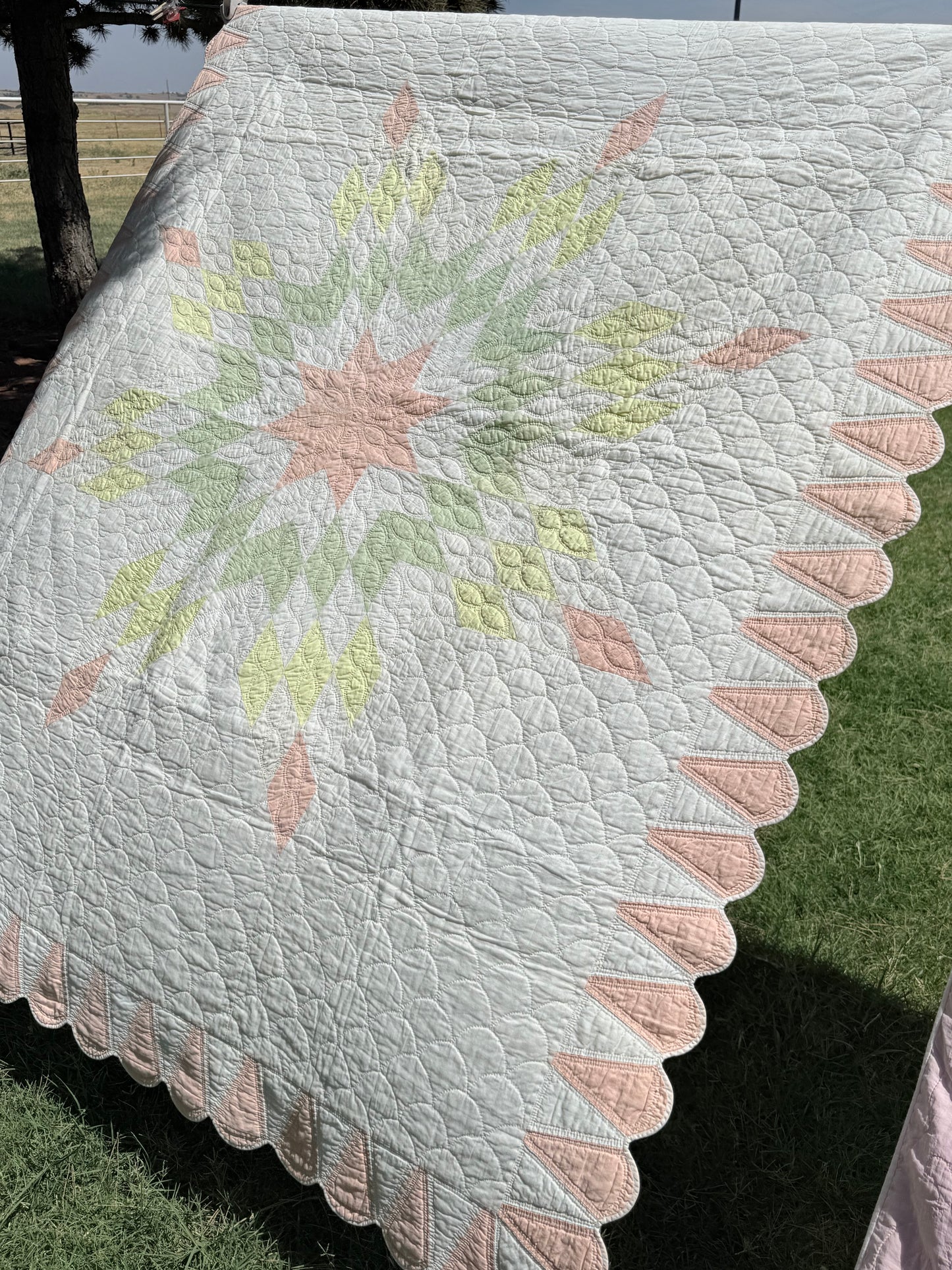 Detailed Lone Star Quilt with Border