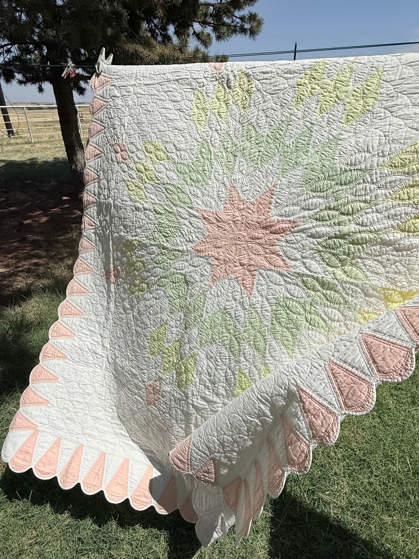 Detailed Lone Star Quilt with Border