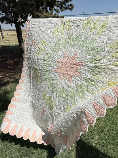 Detailed Lone Star Quilt with Border