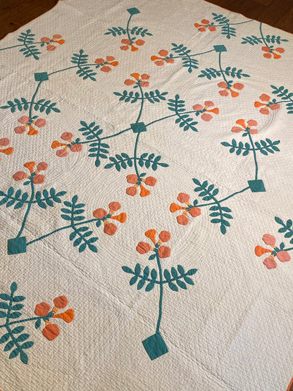 Trumpet Vines Mountain Mist Appliqué  Quilt