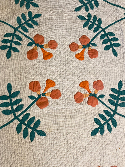 Trumpet Vines Mountain Mist Appliqué  Quilt