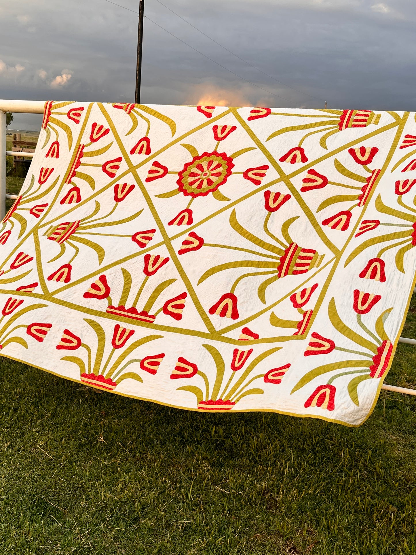 Egyptian Pot of Flowers with Medallion Center Quilt