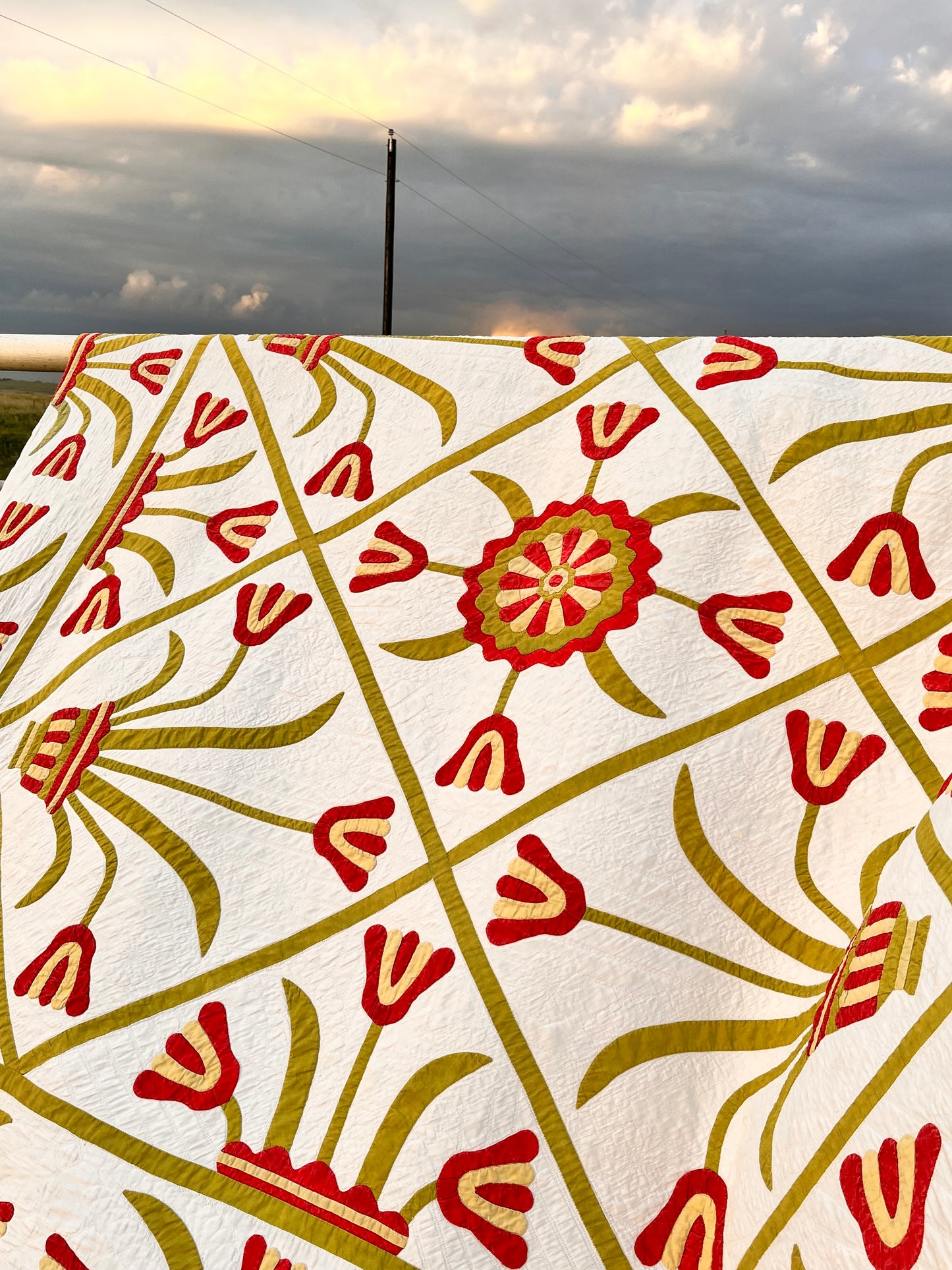 Egyptian Pot of Flowers with Medallion Center Quilt