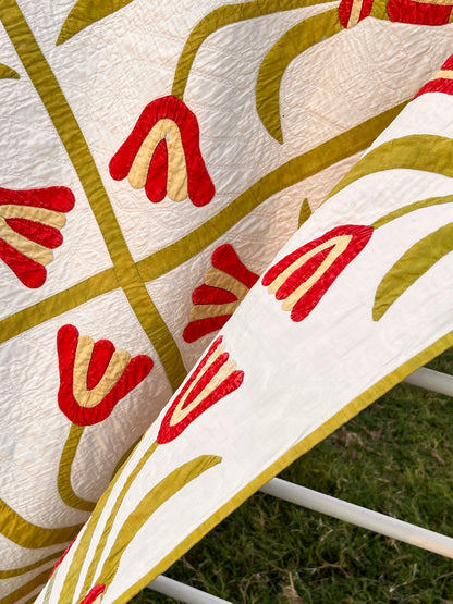 Egyptian Pot of Flowers with Medallion Center Quilt