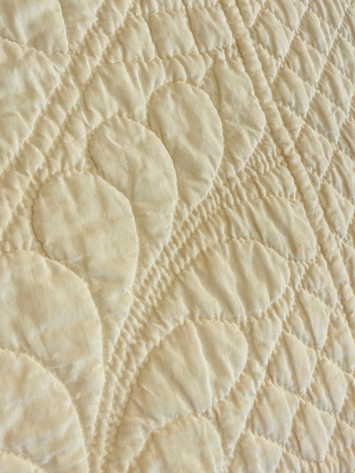Fine Ohio Rose Quilt in Yellows