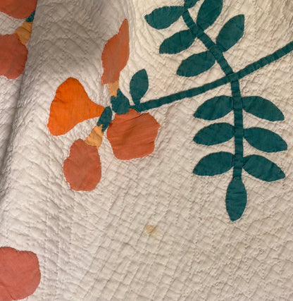 Trumpet Vines Mountain Mist Appliqué  Quilt