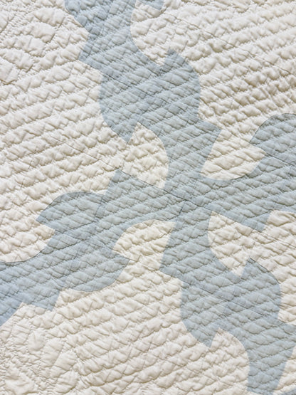 Comfy Drunkards Path Blue White Quilt