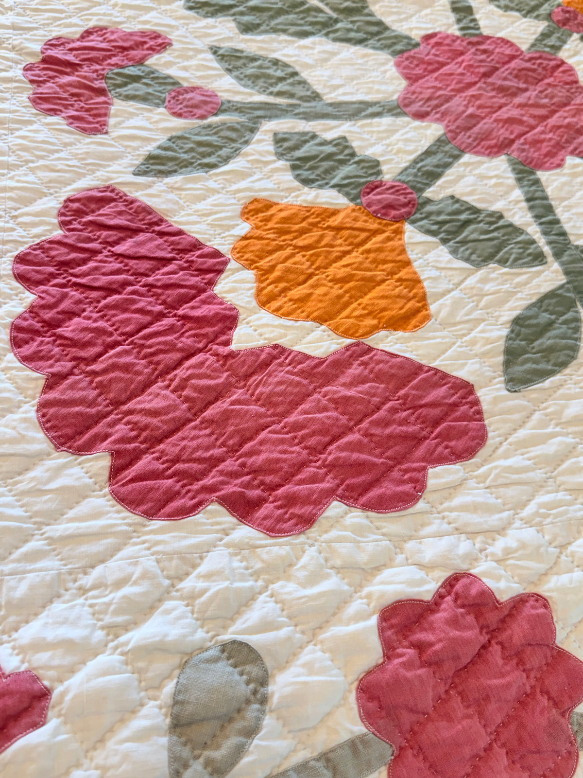 Americana 6 Block Coxcomb and Leaves Appliqué  Quilt