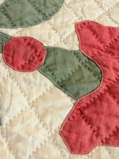 Americana 6 Block Coxcomb and Leaves Appliqué  Quilt