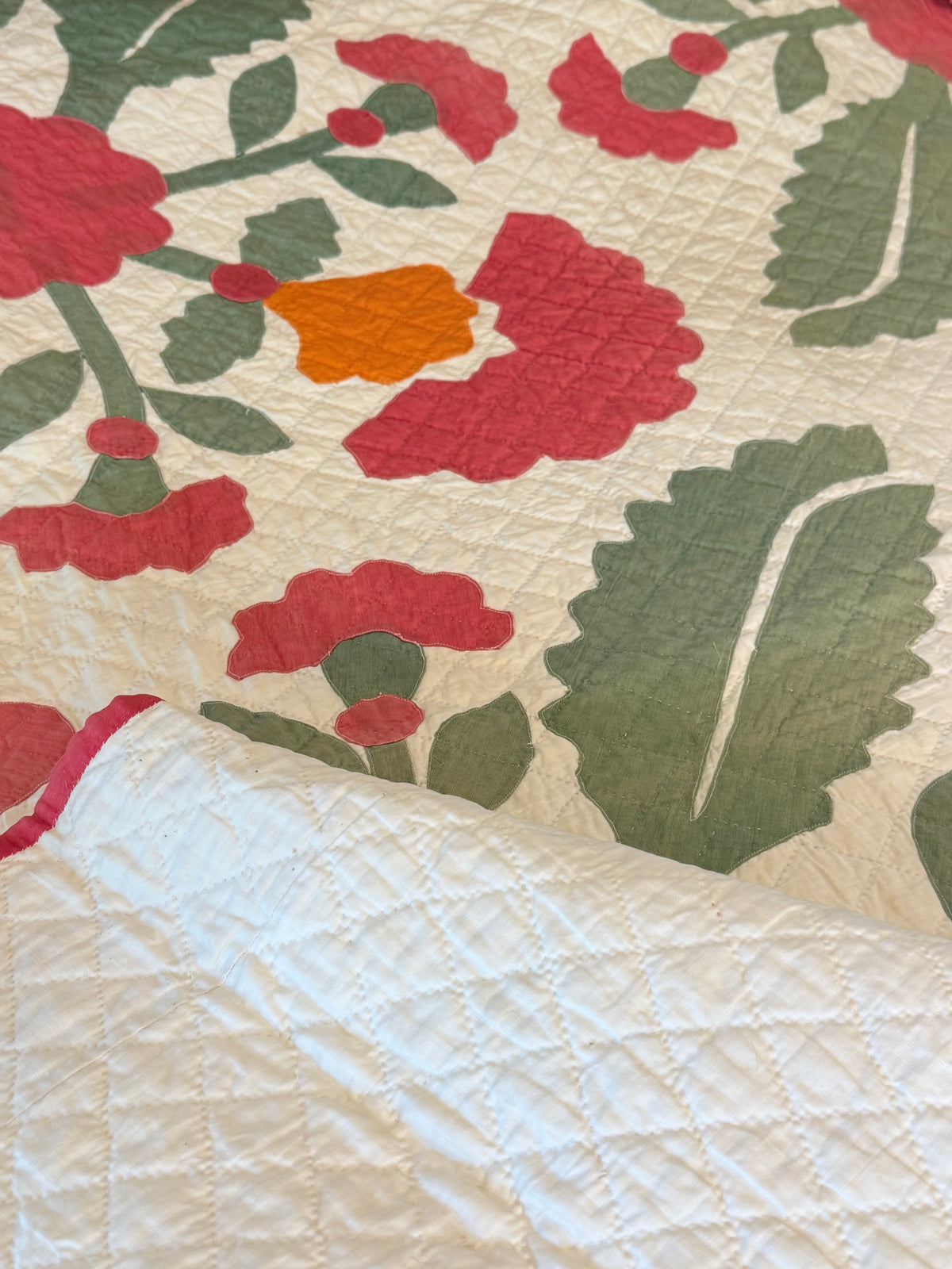 Americana 6 Block Coxcomb and Leaves Appliqué  Quilt