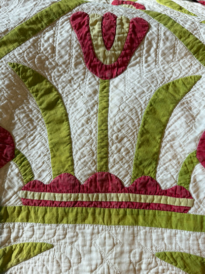 Egyptian Pot of Flowers with Medallion Center Quilt