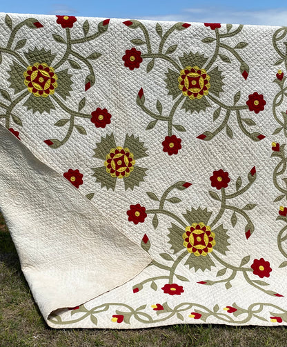 Whig Rose Appliqué Quilt with Border