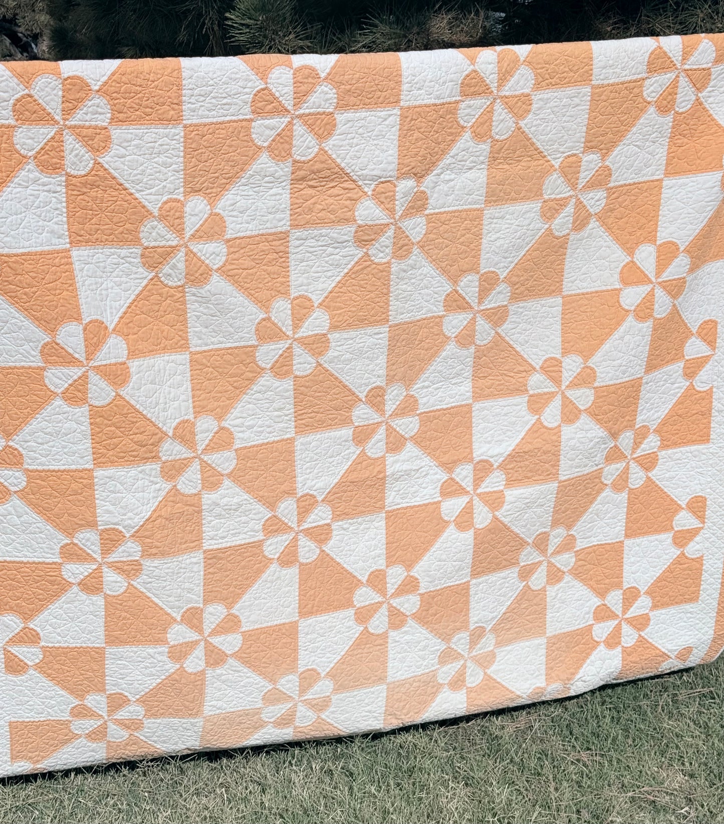 Dazzling Hearts and Gizzards Quilt