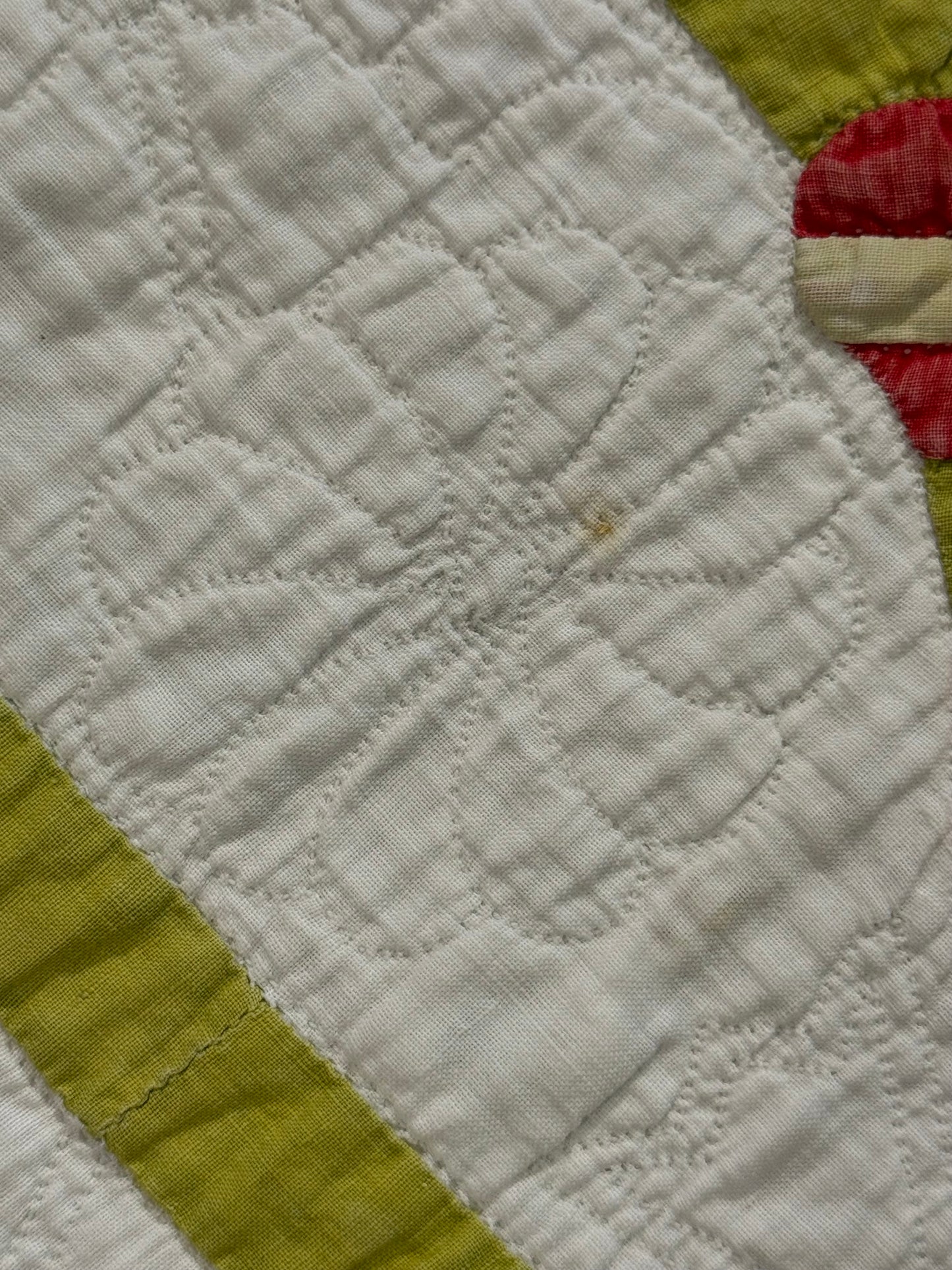 Egyptian Pot of Flowers with Medallion Center Quilt